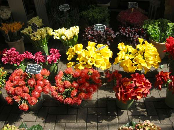 images/img_2576_big.jpg