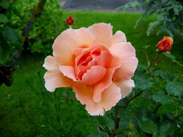 images/img_2123_big.jpg