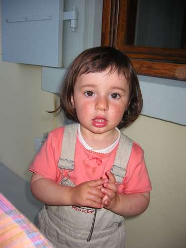 images/img_1961_big.jpg
