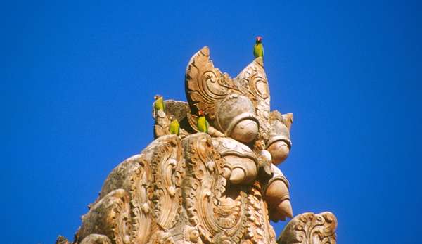 images/img0180_big.jpg